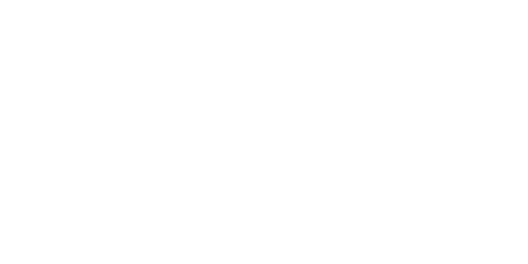 deel-logo-white