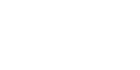 logo-transfr-white